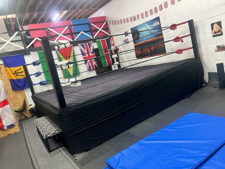 Training-Ring